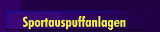 Sportauspuffanlagen